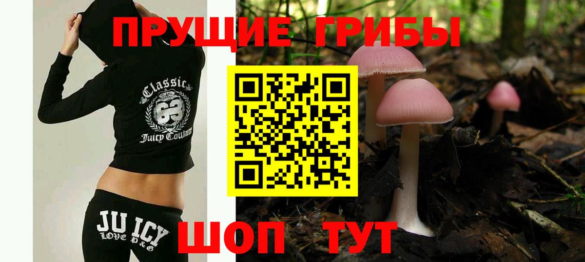 Бугульма  Псилоцибиновые грибы Psilocybe  Вход с VPN 